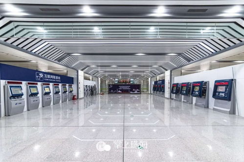 巨变前夕 珠海地铁时代已至，城市脉动由此开启